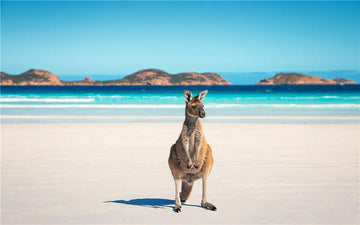 WESTERN AUSTRALIA