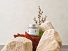 Botanical Barrier Balm (SLUG)